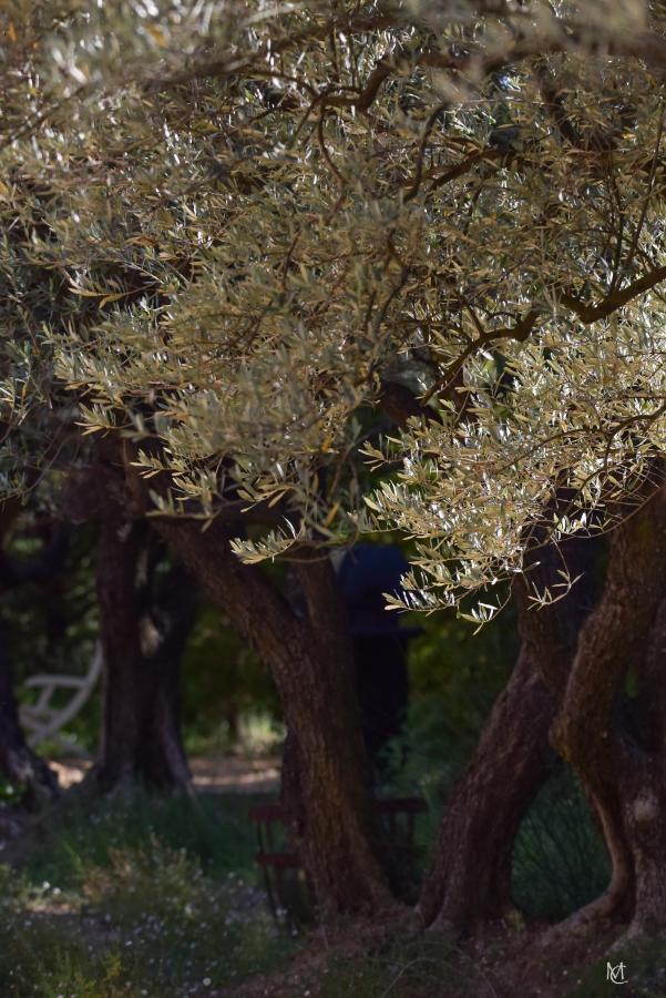 مبيت وإفطار Le Mas Carre Séguret المظهر الخارجي الصورة